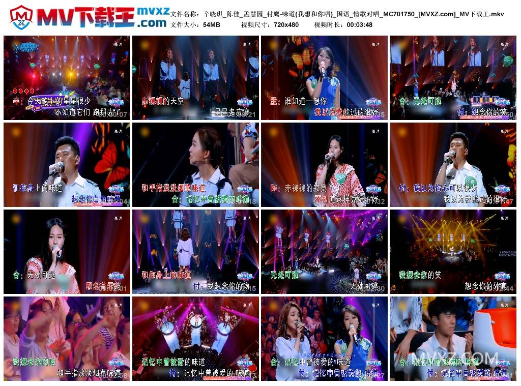 辛晓琪_陈佳_孟慧园_付鹰-味道(我想和你唱)_国语_情歌对唱_MC701750